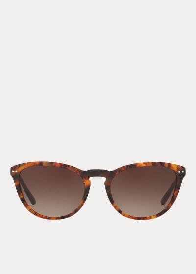 Women's Polo Ralph Lauren Cat-Eye Sunglasses | 231905CJX